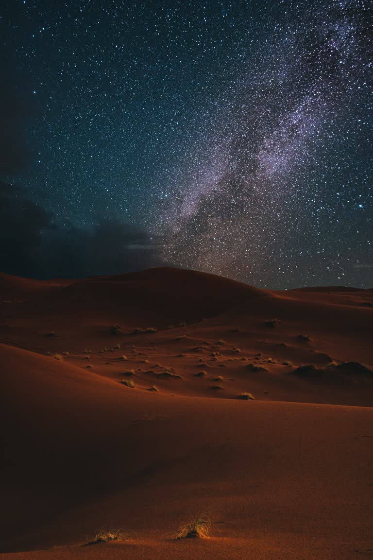 沙漠中的星夜,中间有一棵孤树