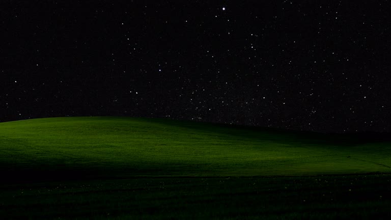 繁星点点的夜空,绿地和一棵孤树