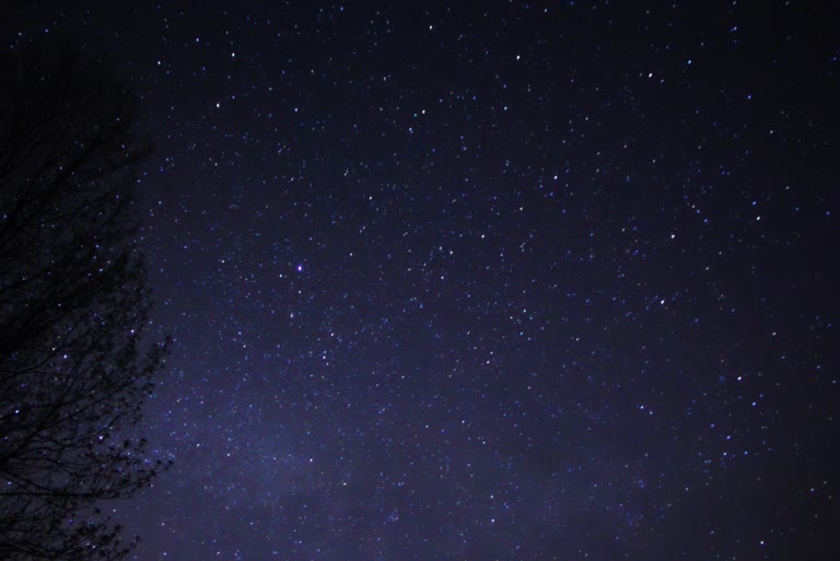 繁星点点的夜空,前景是树木和长凳