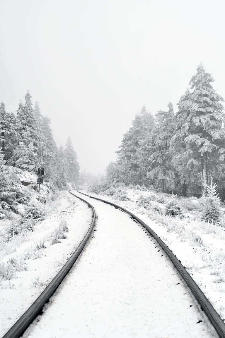 有一列火车在雪地里沿着铁轨行驶