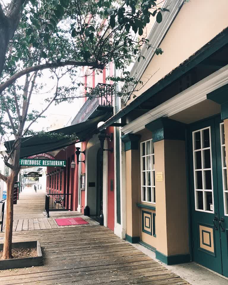 有一棵树在一栋建筑物前面