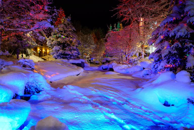 夜晚公园里被白雪覆盖的树木和蓝色的灯光