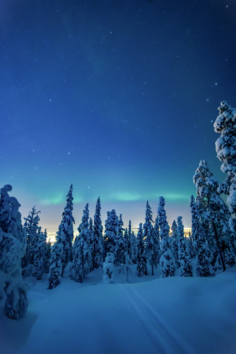 在极光灯光的蓝天下被白雪覆盖的树木