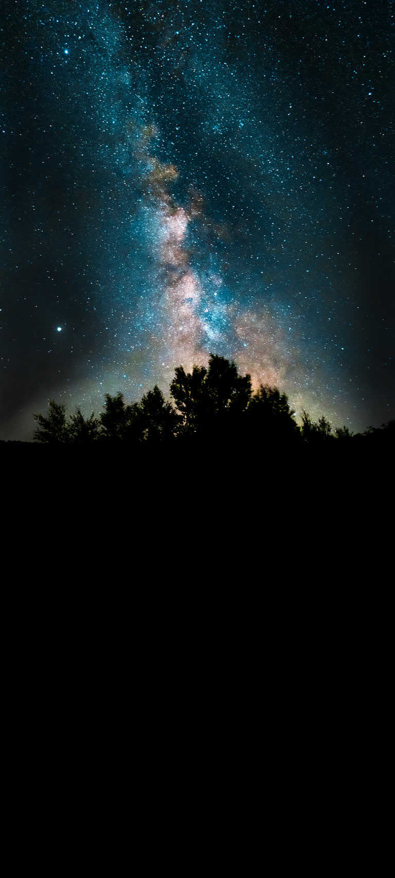 树木在夜空的映衬下剪影,背景是乳白色