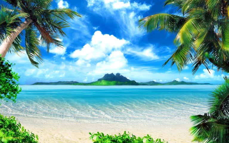 可以看到棕榈树和海洋的海滩