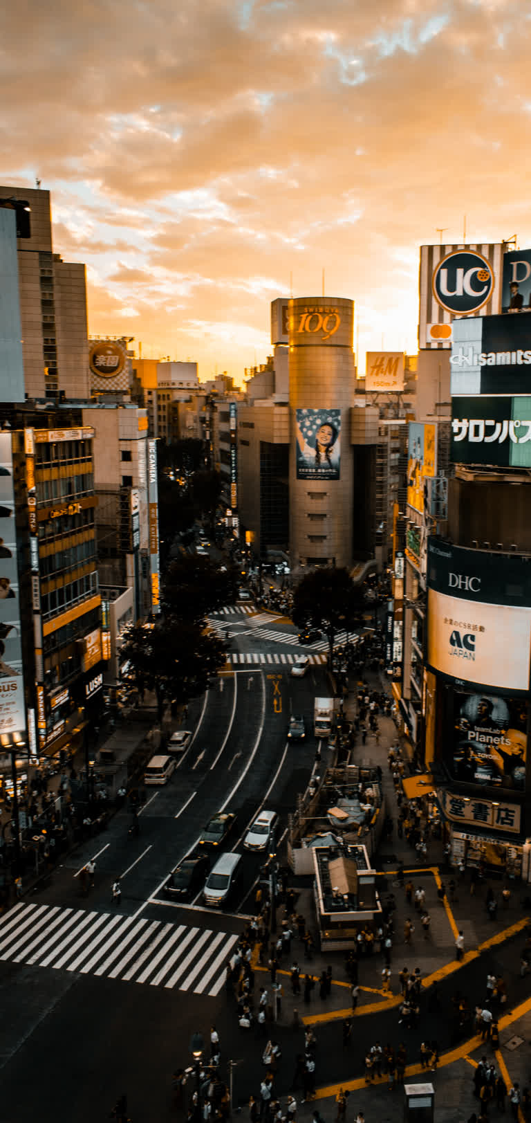日落时分可以看到繁忙的城市街道