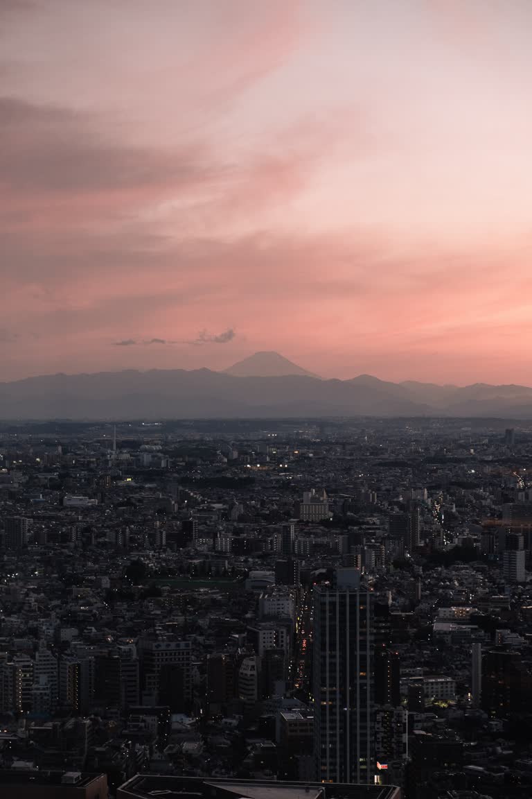 从建筑物的顶部可以看到城市景观