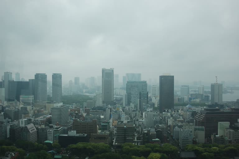 从建筑物的顶部可以看到城市景观
