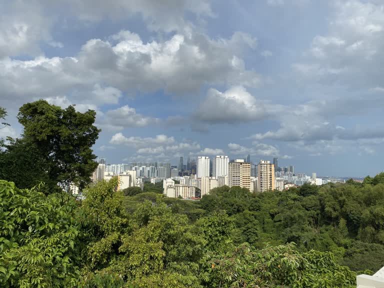 从山顶可以看到城市的景色