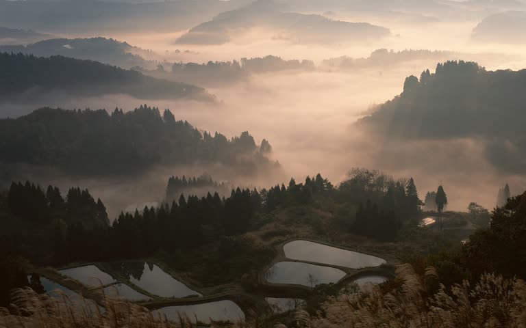 从山顶可以看到雾气缭绕的山谷