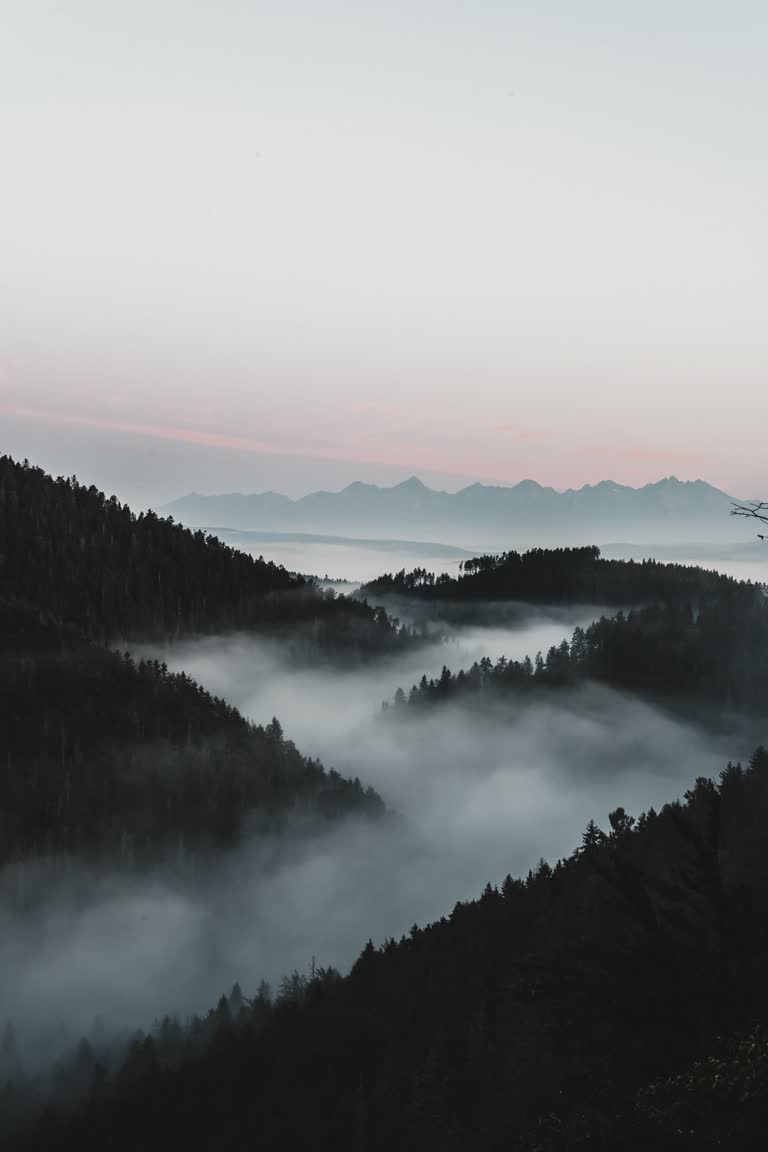 山间雾气缭绕的山谷景色