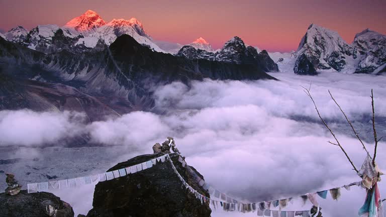 背景是白雪皑皑的山脉