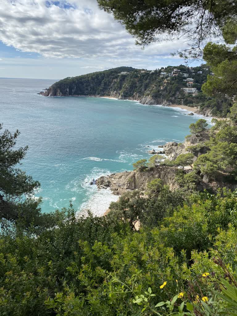 从山顶可以看到海景