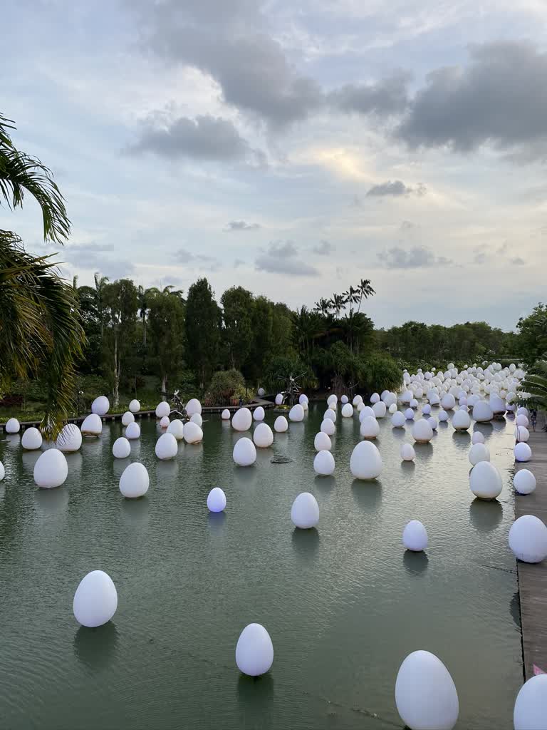水中漂浮着许多白色的球