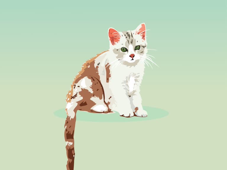 有一只白色和棕色的猫坐在绿色的表面上