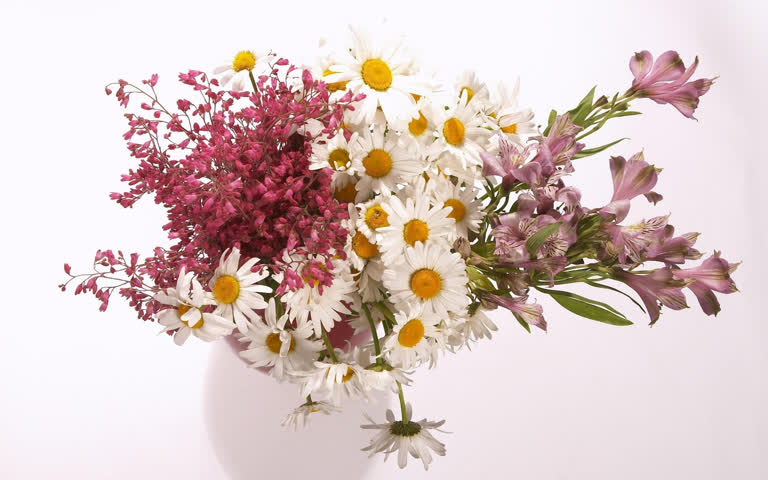 白色背景下白色花瓶中的紫色和白色花朵