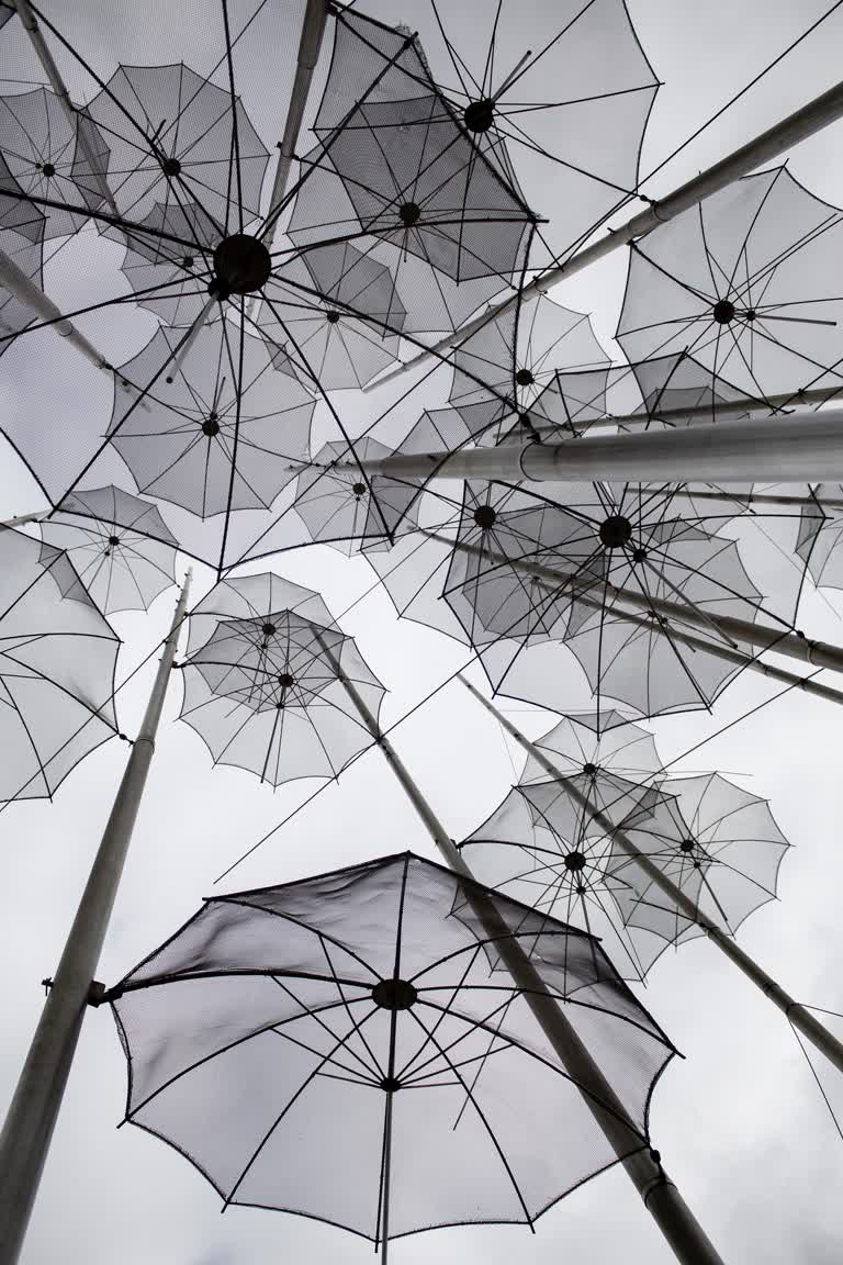 空中飘着许多白色的雨伞