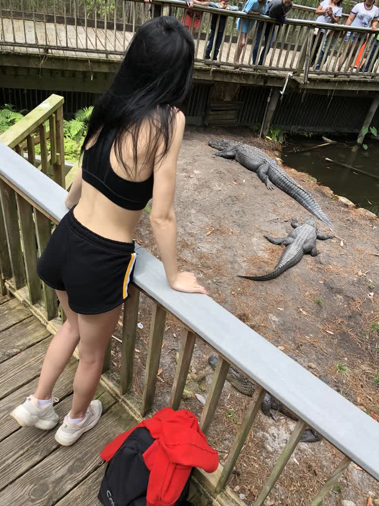 有一个女人站在甲板上看着鳄鱼