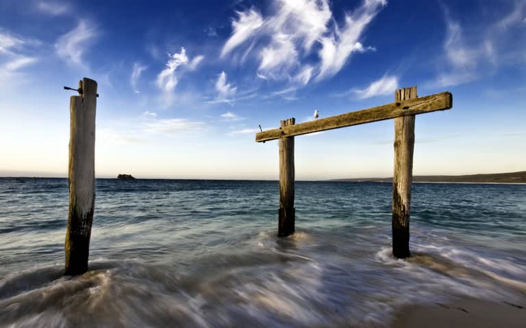 海滩上有两根木柱伸出水面